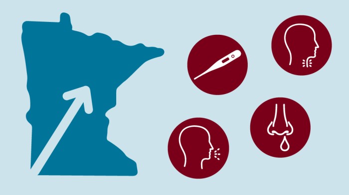 Image depicting rising influenza cases in Minnesota in addition to common flu symptoms like fever, soar throat, runny nose and sneezing.