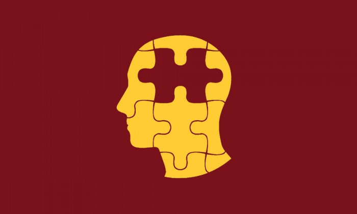 brain puzzle