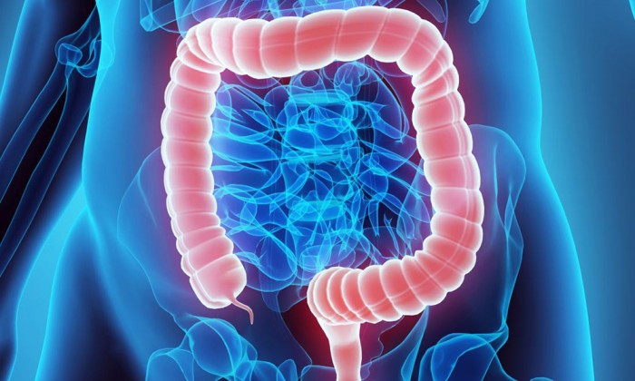 Colonoscopy And Preventative Screenings For Colorectal Cancer Save
